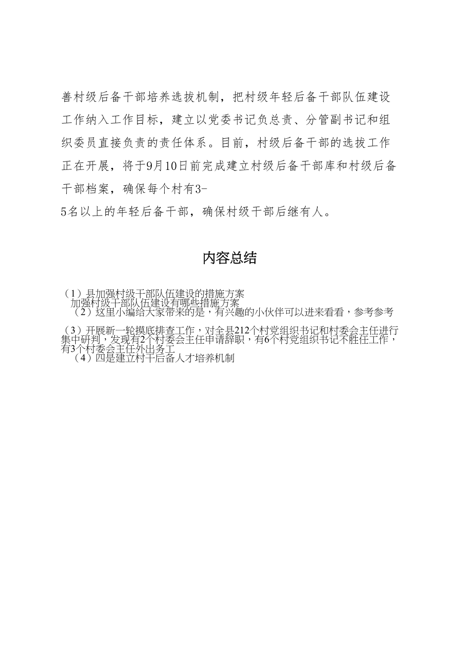 2023年县加强村级干部队伍建设的措施方案.doc_第2页