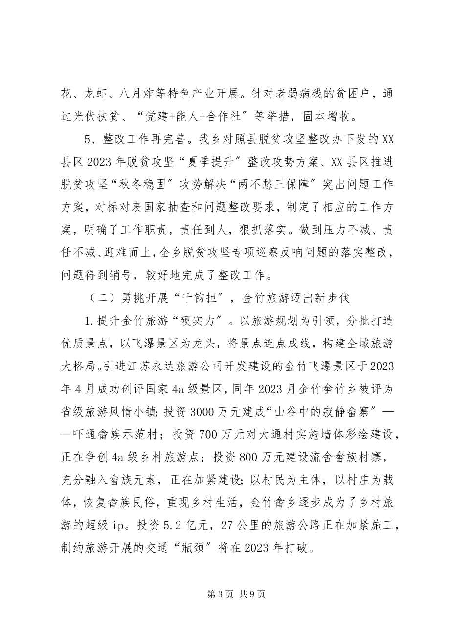 2023年畲族乡工作总结及工作计划.docx_第3页