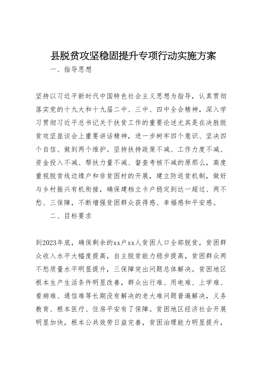 2023年县脱贫攻坚巩固提升专项行动实施方案.doc_第1页