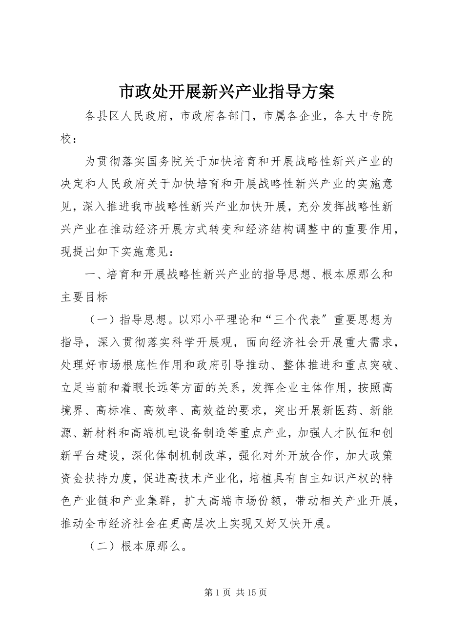 2023年市政处发展新兴产业指导方案.docx_第1页