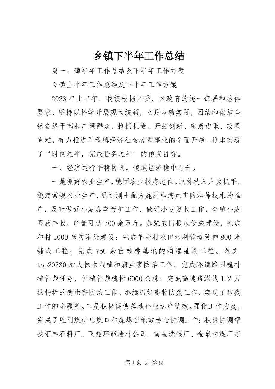 2023年乡镇下半年工作总结.docx_第1页