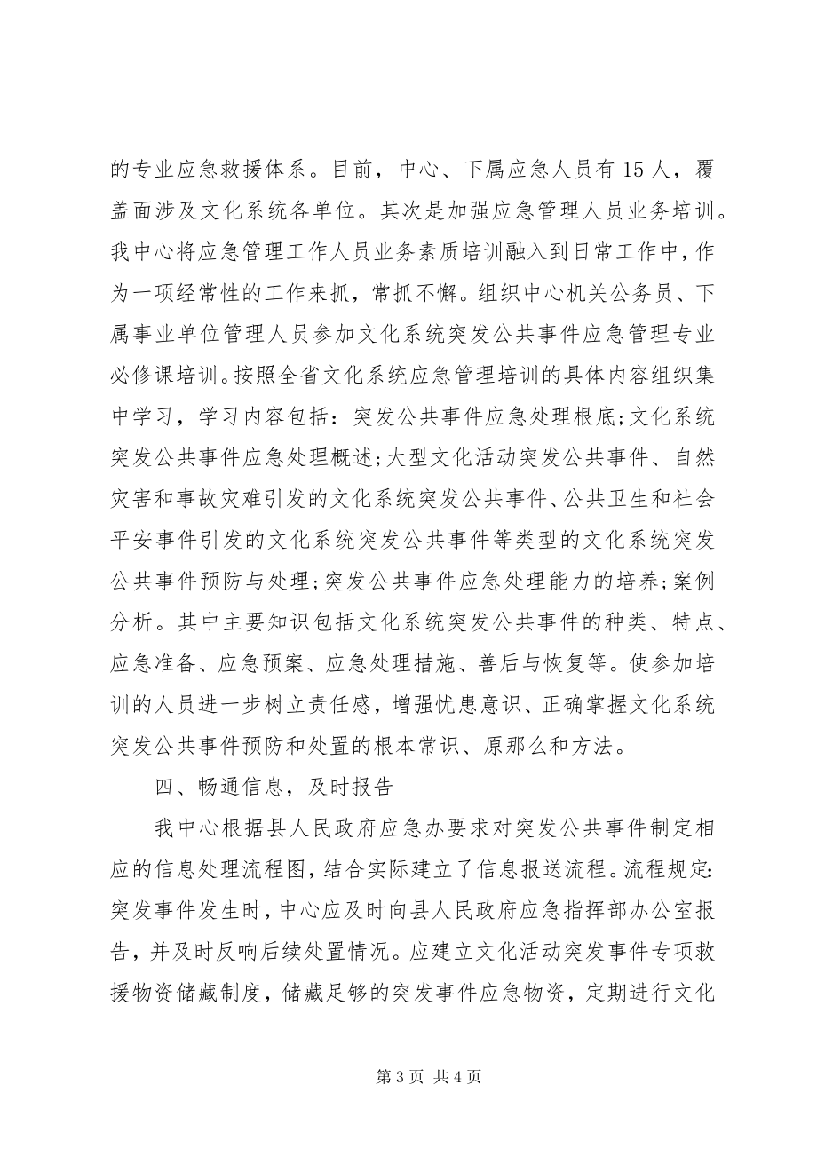 2023年文化服务中心应急管理工作总结.docx_第3页