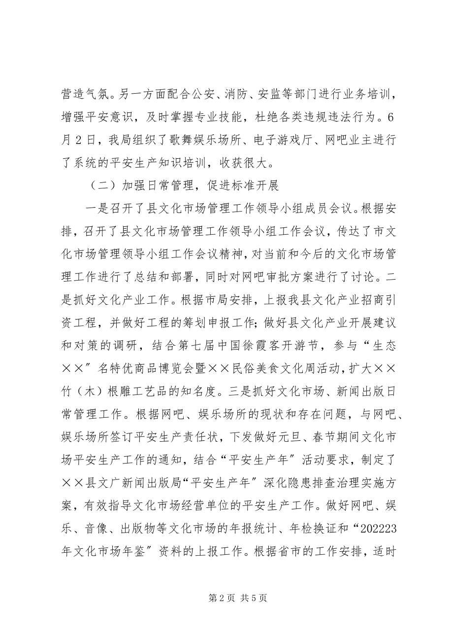 2023年文化市场上半年总结.docx_第2页