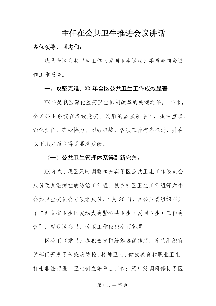 2023年主任在公共卫生推进会议致辞.docx_第1页