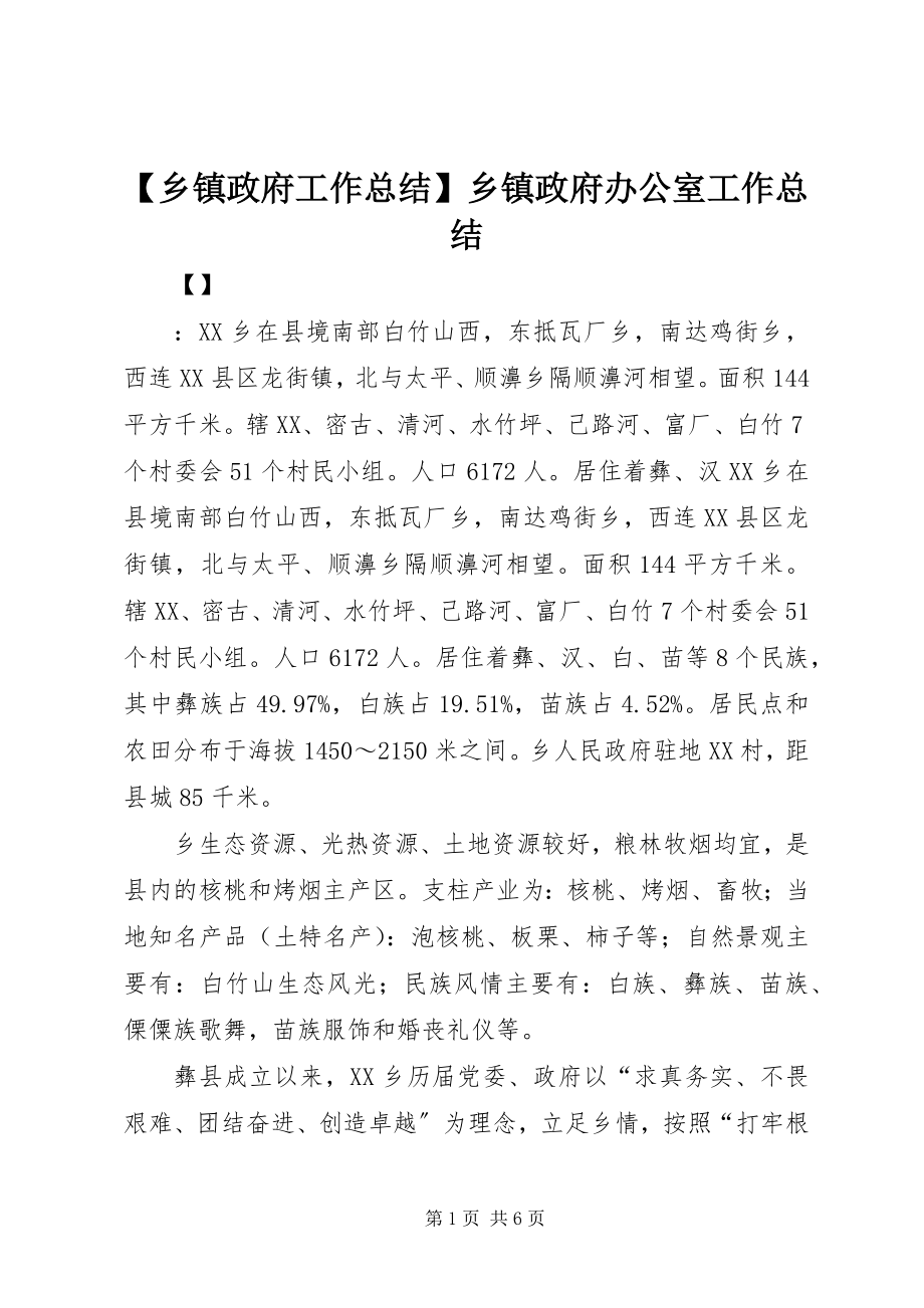 2023年乡镇政府工作总结乡镇政府办公室工作总结新编.docx_第1页