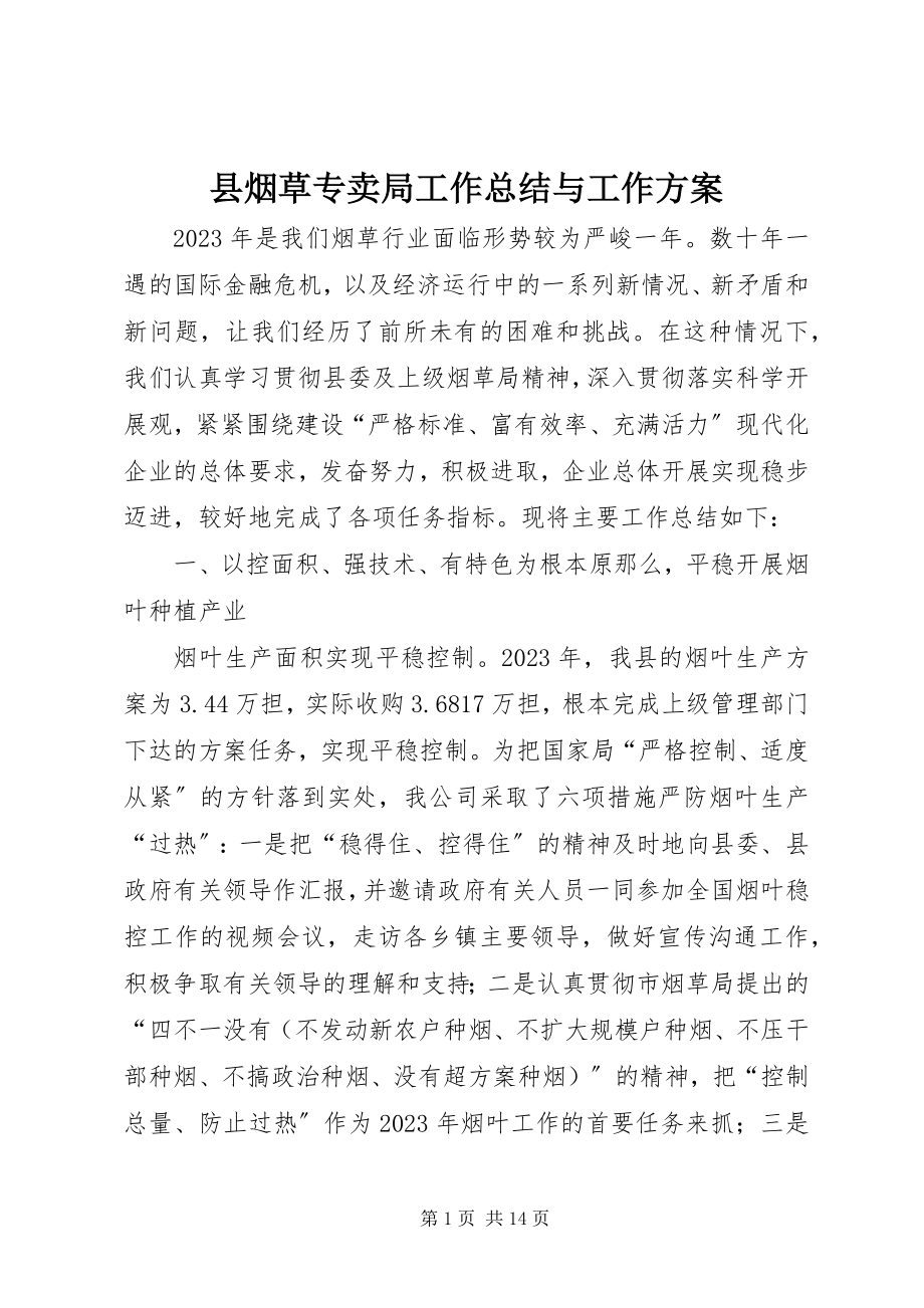 2023年县烟草专卖局工作总结与工作计划.docx_第1页