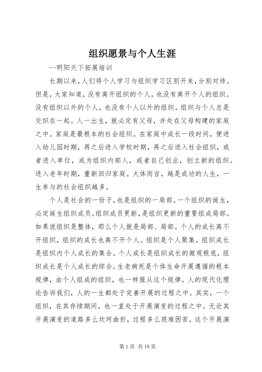 2023年组织愿景与个人生涯.docx_第1页