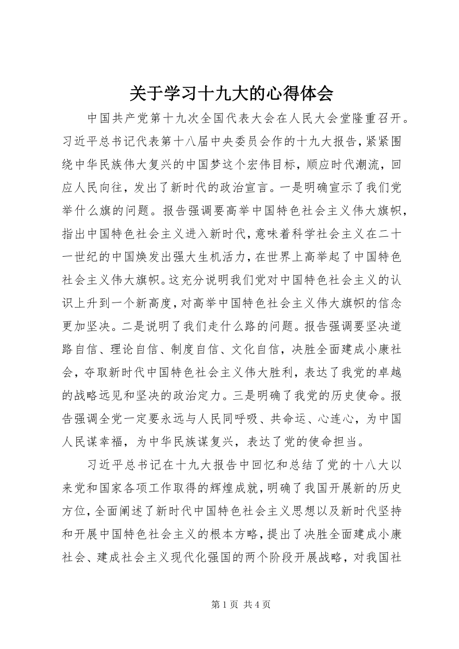 2023年学习十九大的心得体会.docx_第1页