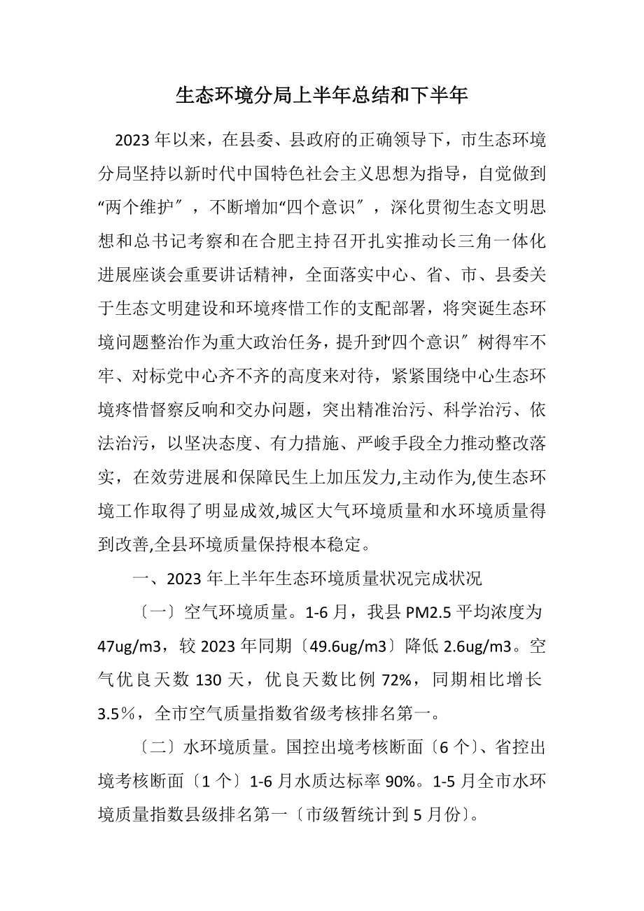 2023年生态环境分局上半年总结和下半年计划.docx_第1页