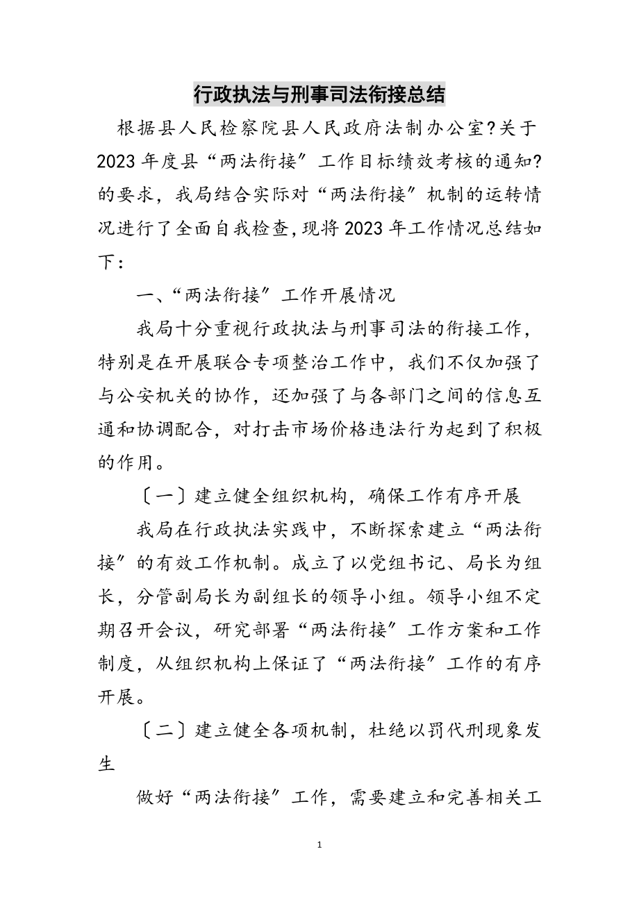 2023年行政执法与刑事司法衔接总结范文.doc_第1页