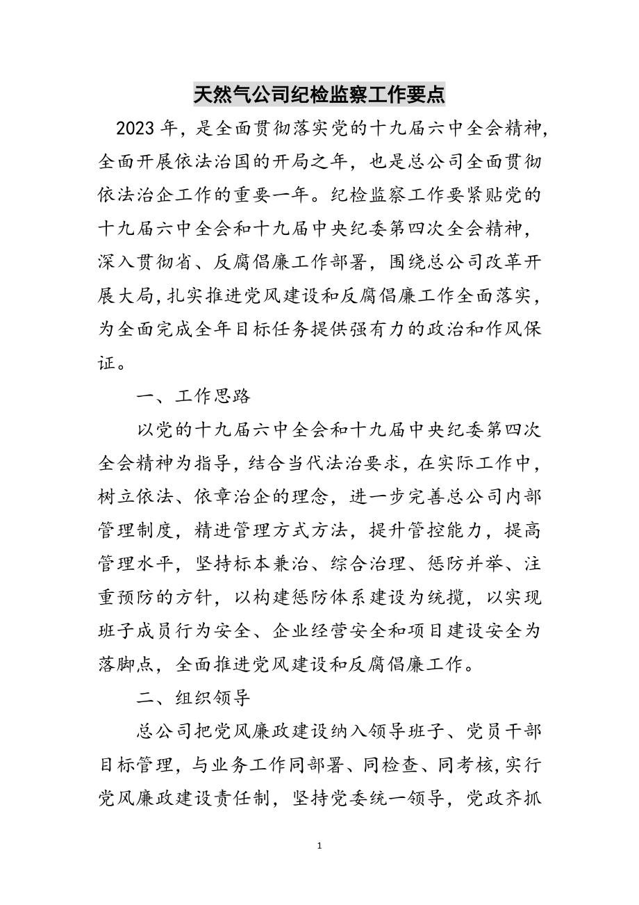 2023年天然气公司纪检监察工作要点范文.doc_第1页