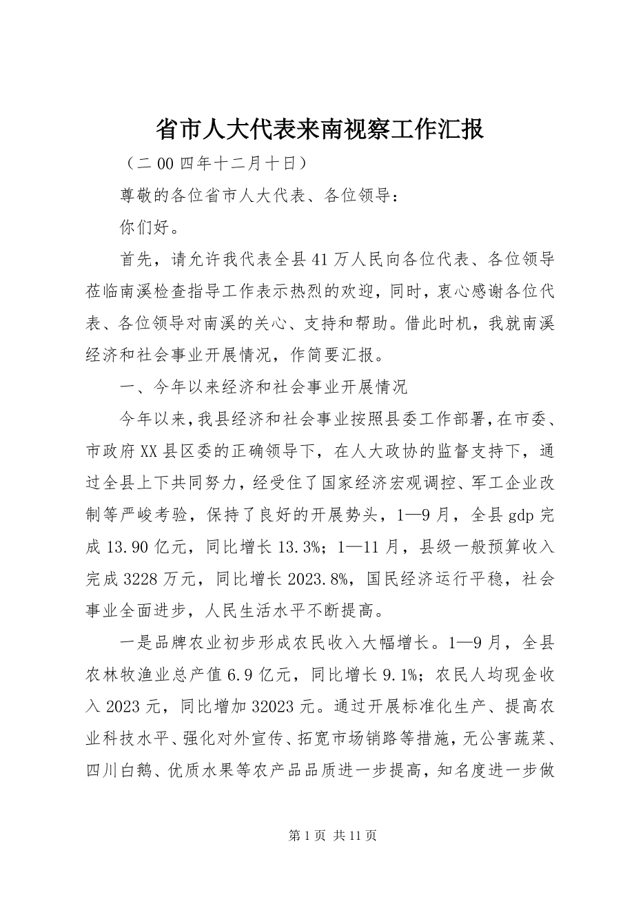 2023年省市人大代表来南视察工作汇报.docx_第1页