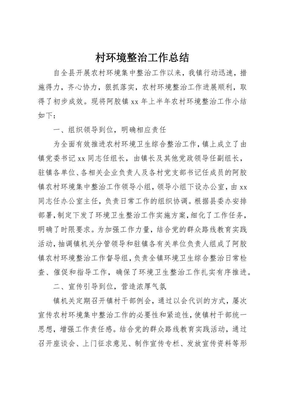 2023年村环境整治工作总结新编.docx_第1页