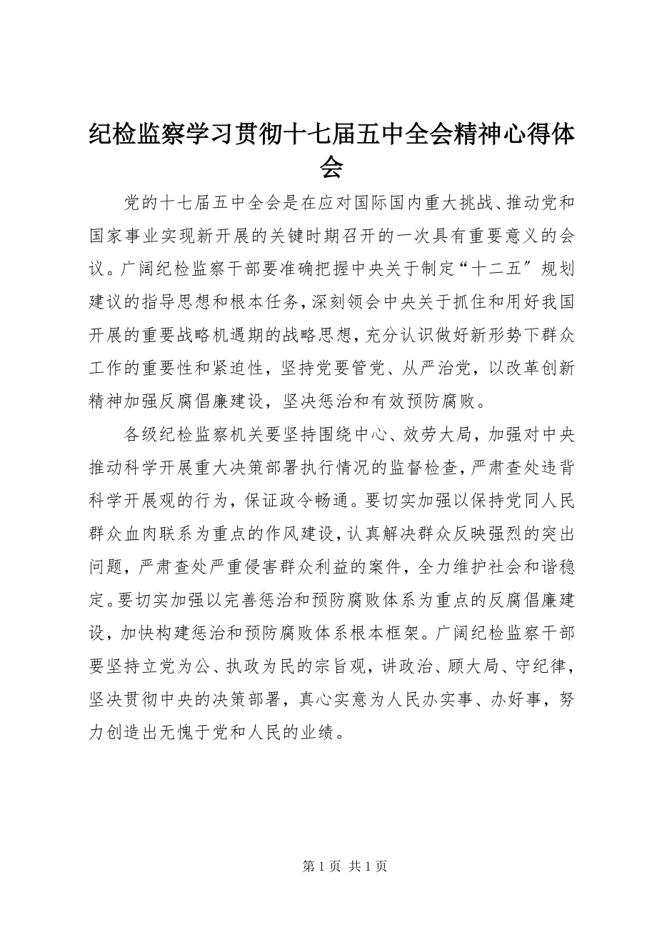 2023年纪检监察学习贯彻十七届五中全会精神心得体会.docx_第1页