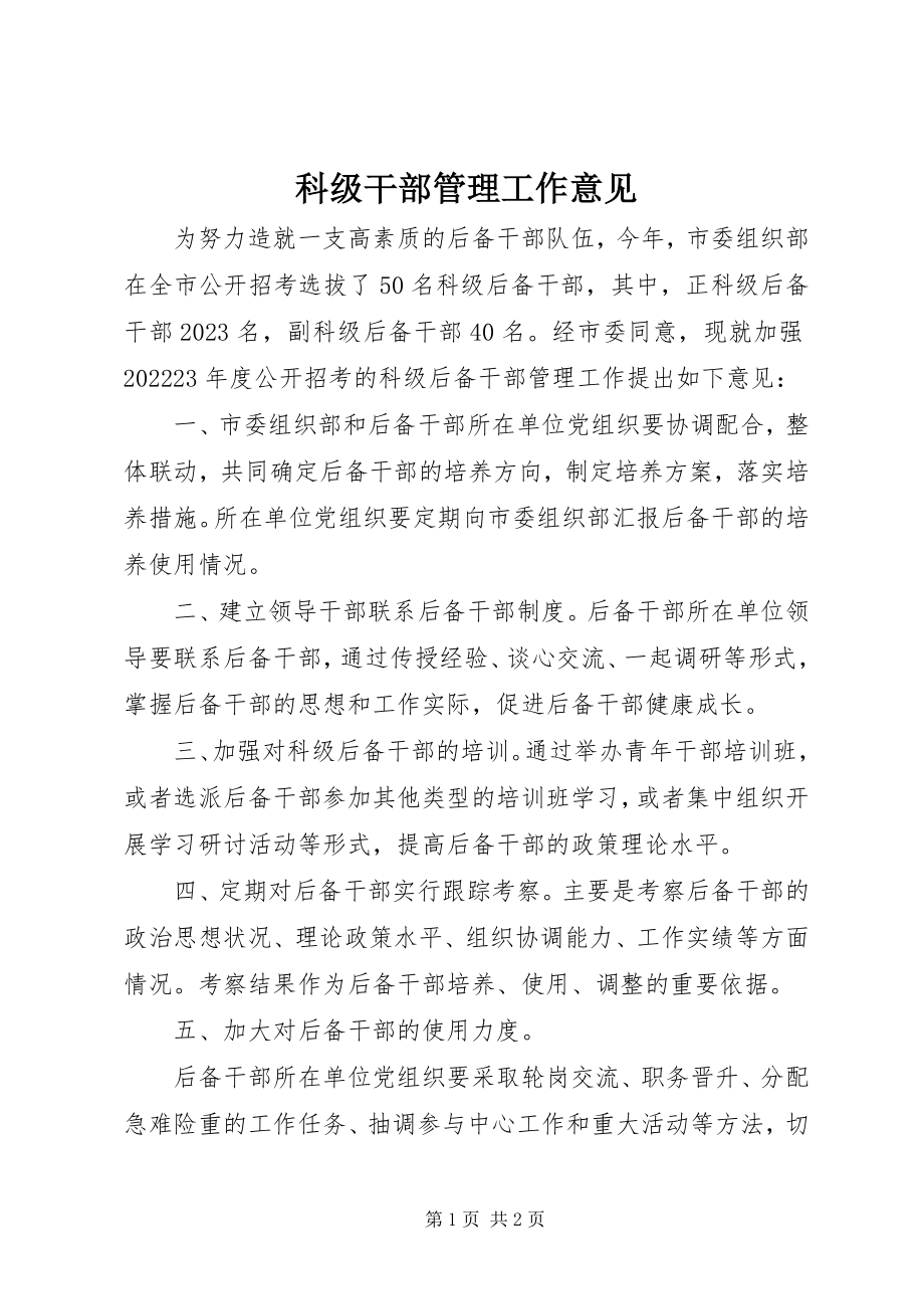 2023年科级干部管理工作意见.docx_第1页