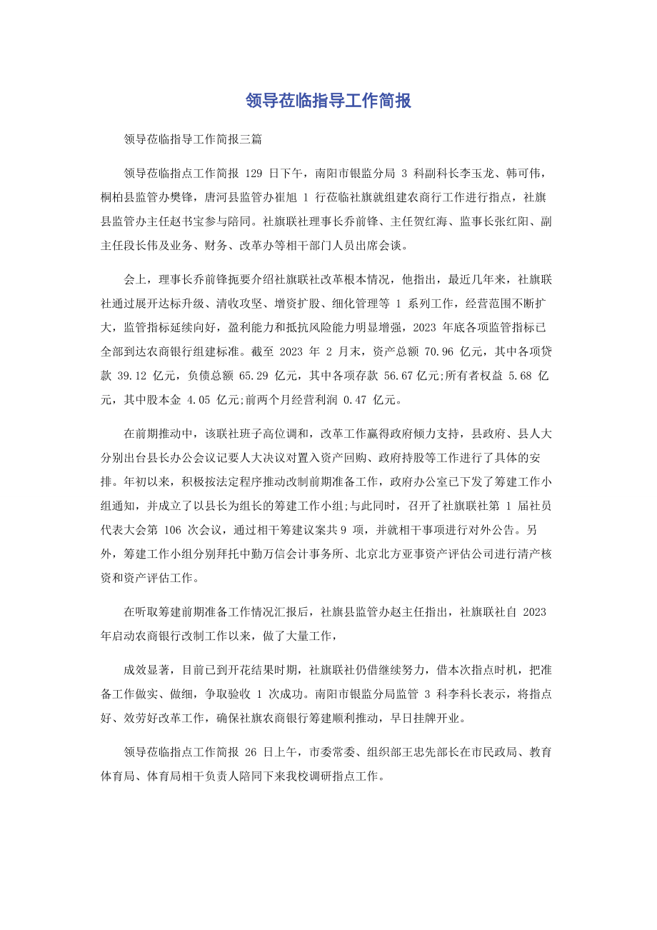 2023年领导莅临指导工作简报.docx_第1页