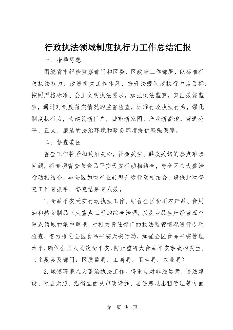 2023年行政执法领域制度执行力工作总结汇报.docx_第1页