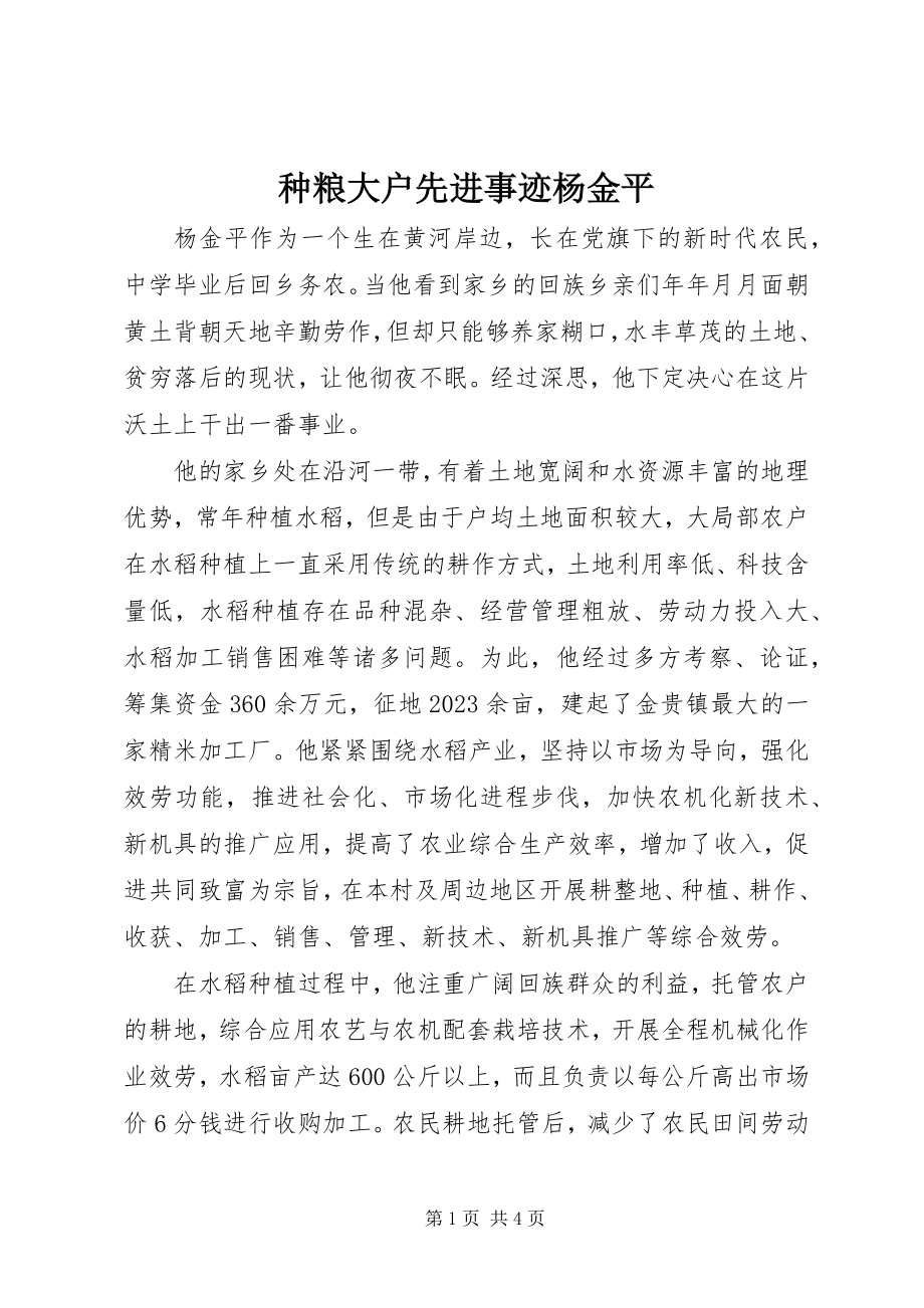 2023年种粮大户先进事迹杨金平.docx_第1页