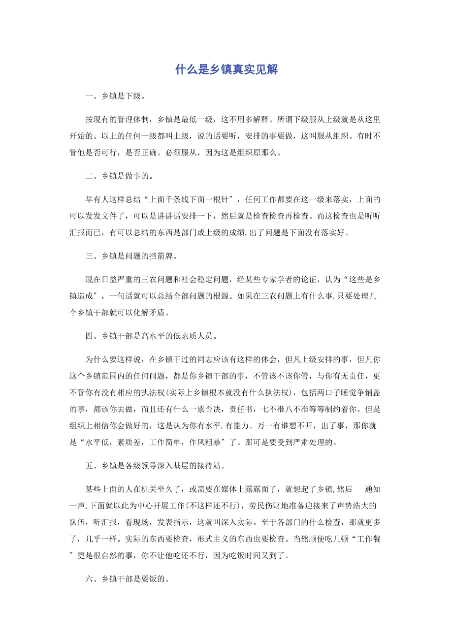 2023年什么是乡镇真实见解.docx_第1页