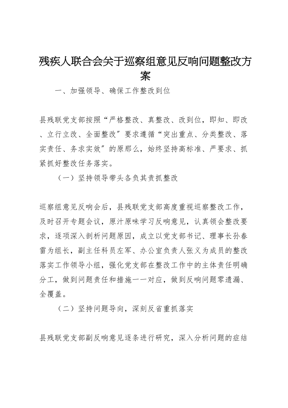 2023年残疾人联合会关于巡察组意见反馈问题整改方案.doc_第1页