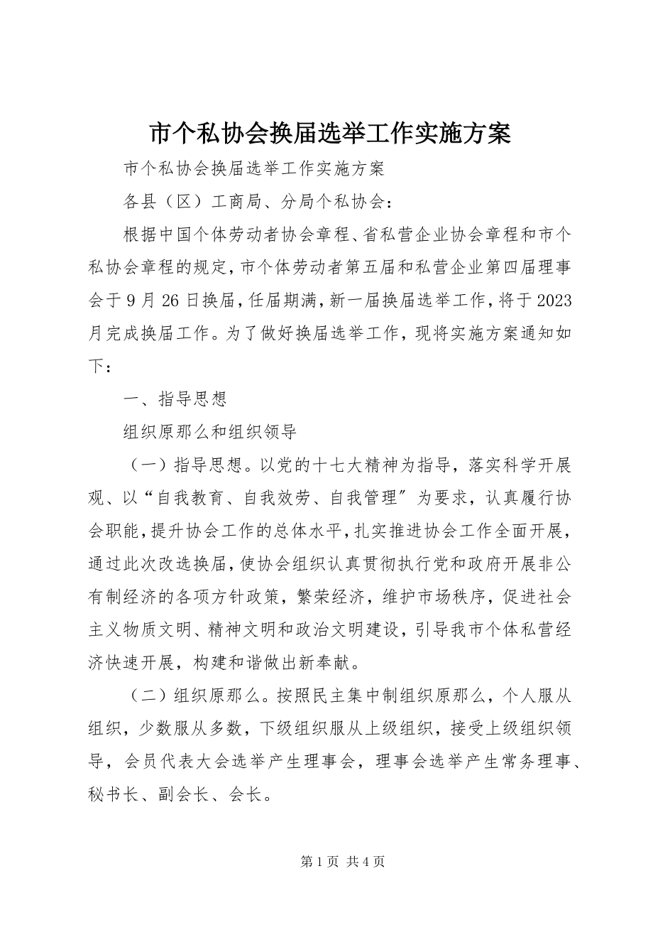 2023年市个私协会换届选举工作实施方案.docx_第1页