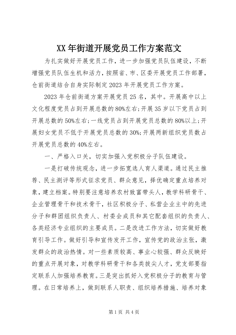 2023年街道发展党员工作计划.docx_第1页