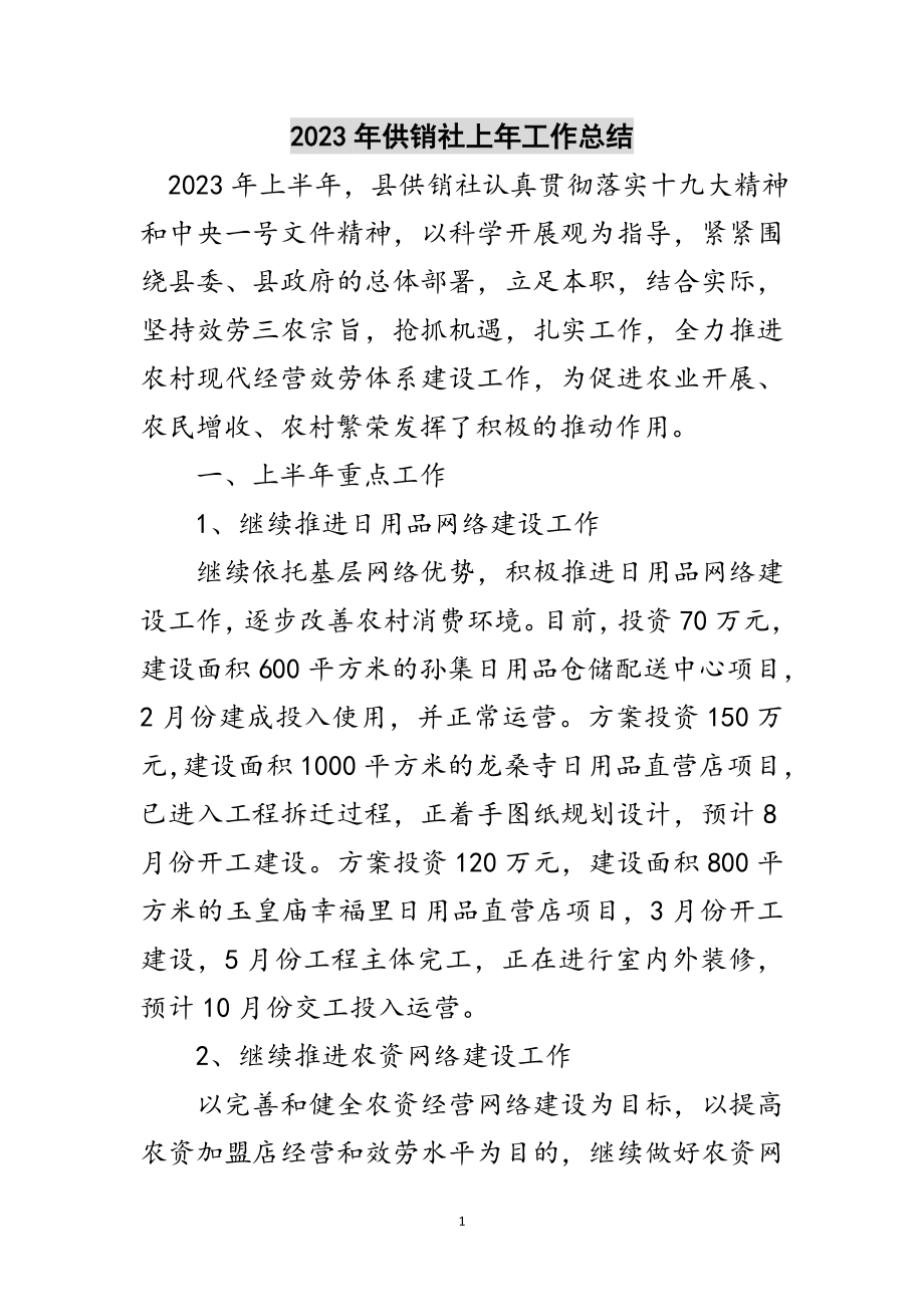 2023年年供销社上年工作总结范文.doc_第1页