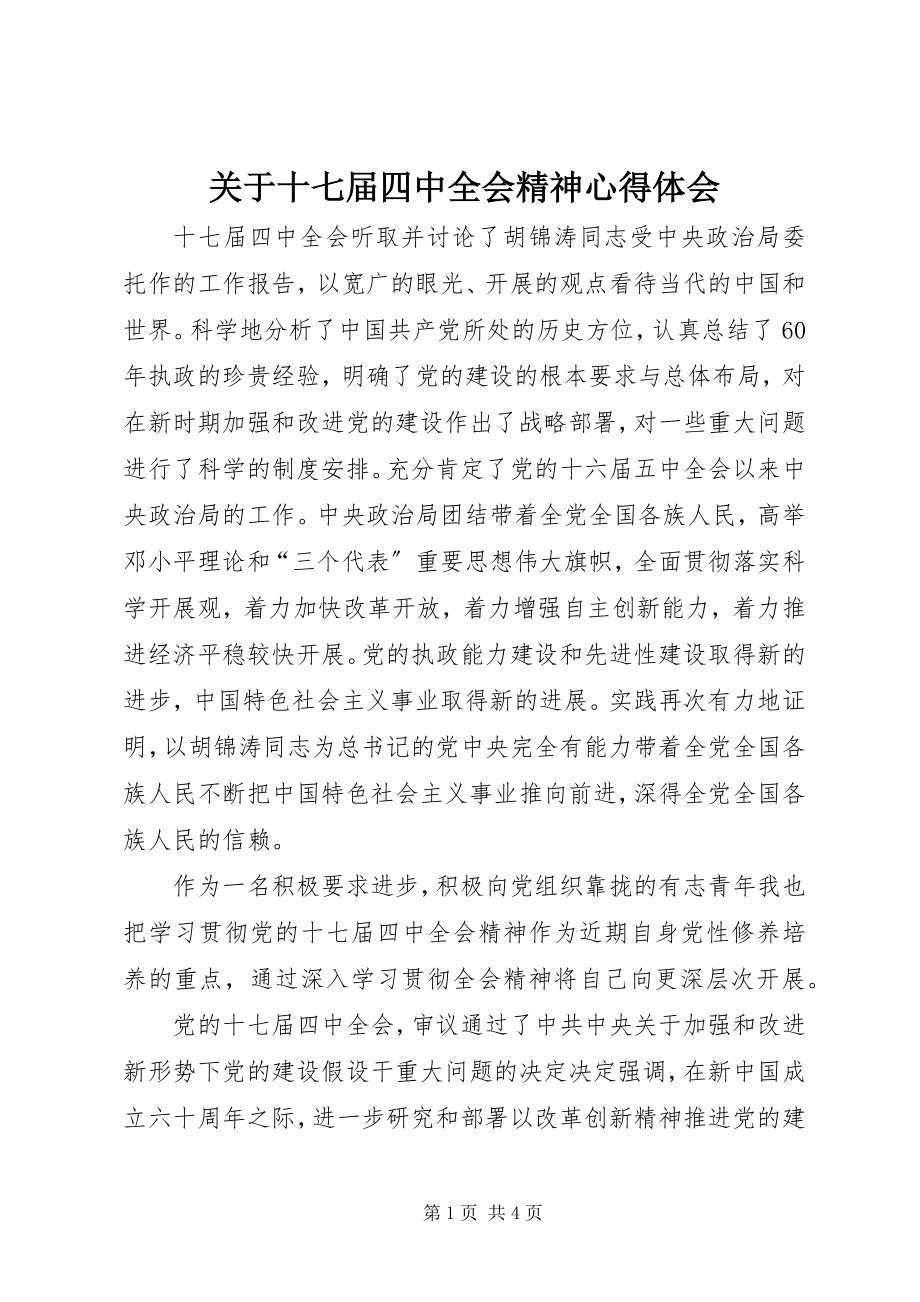 2023年十七届四中全会精神心得体会.docx_第1页