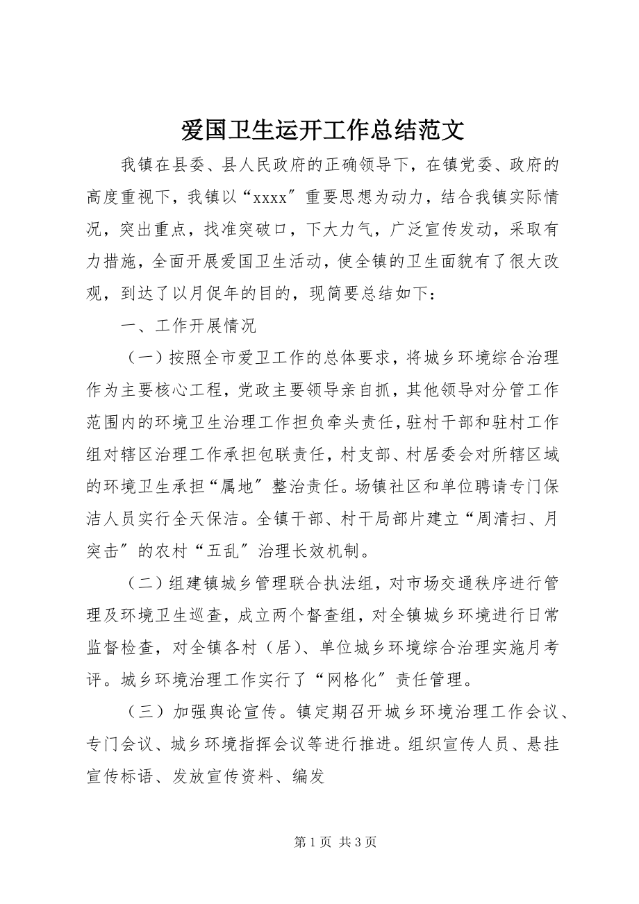 2023年爱国卫生运动工作总结2新编.docx_第1页