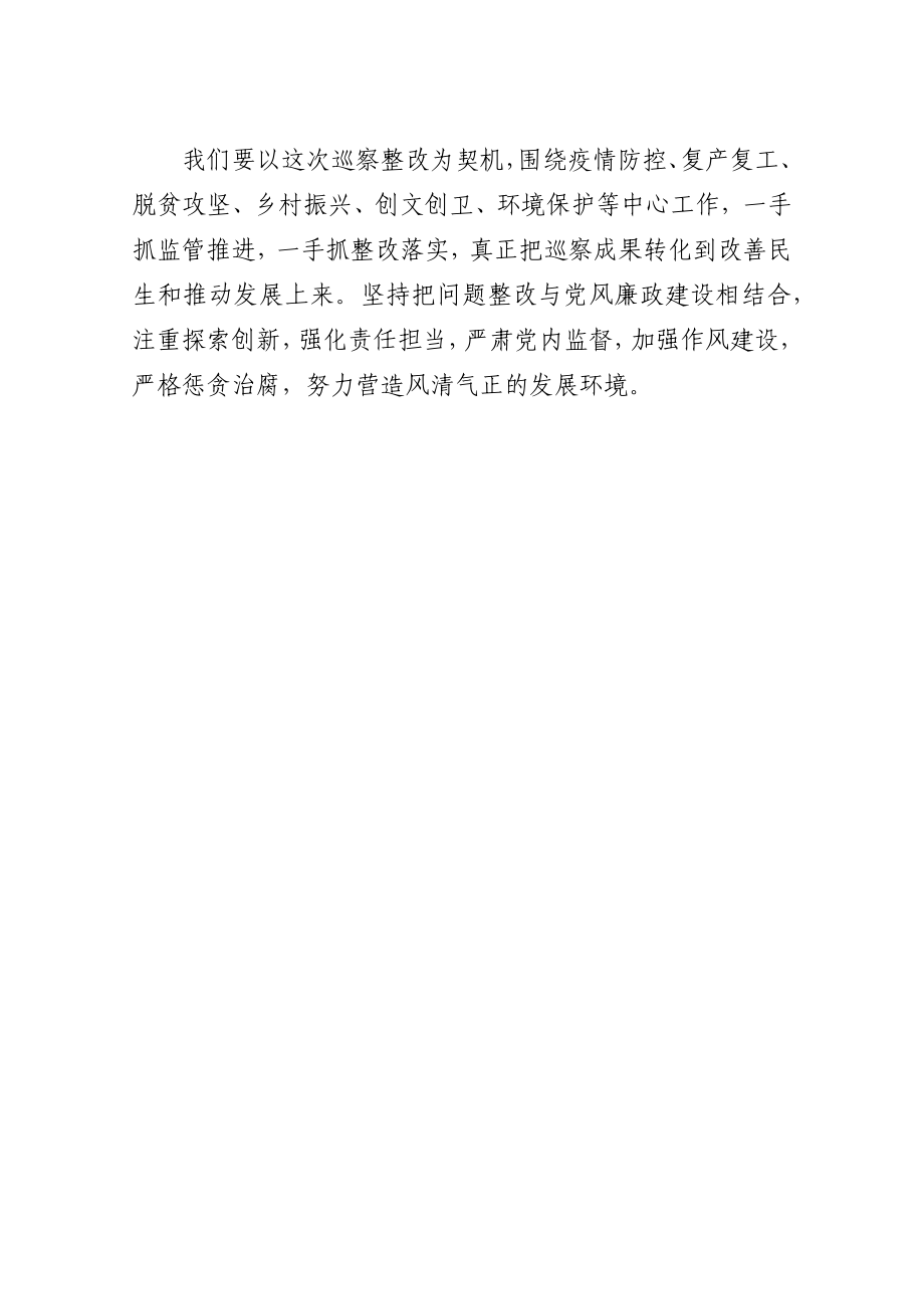 在区委巡察村（社区）组巡察意见反馈会上的表态发言.docx_第2页