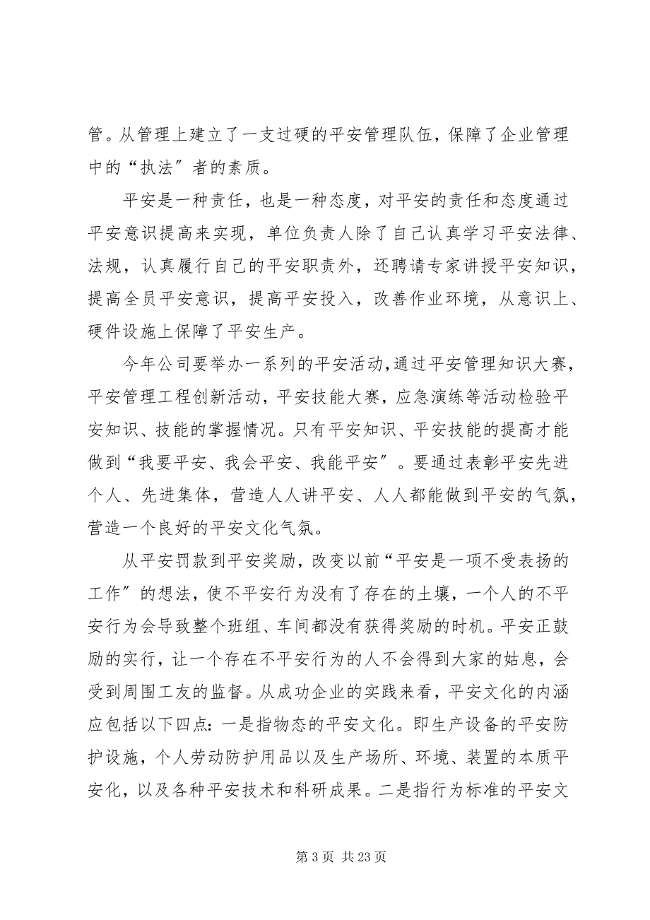 2023年安全的转变演讲稿新编.docx_第3页