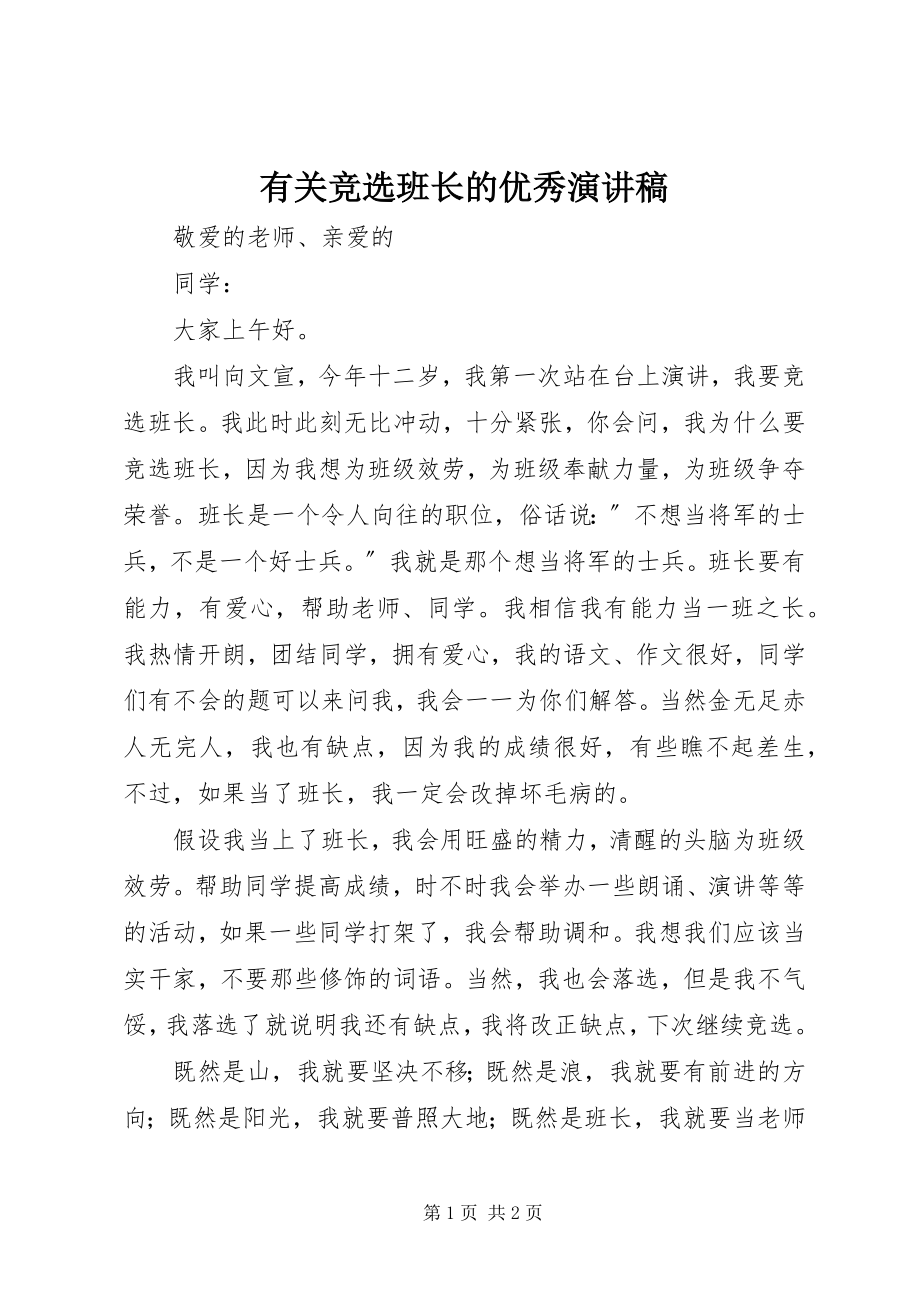 2023年有关竞选班长的优秀演讲稿.docx_第1页