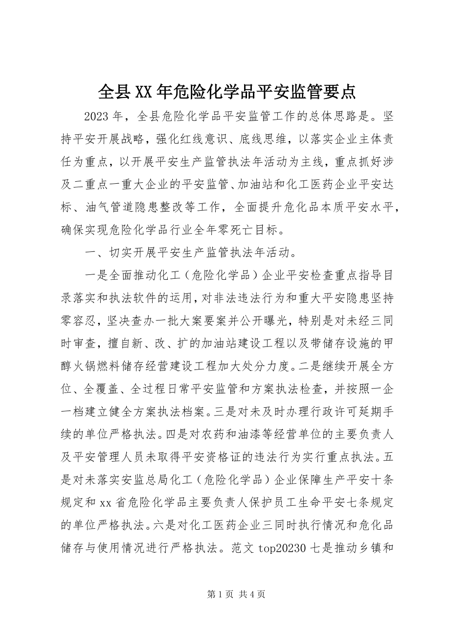 2023年全县危险化学品安全监管要点.docx_第1页