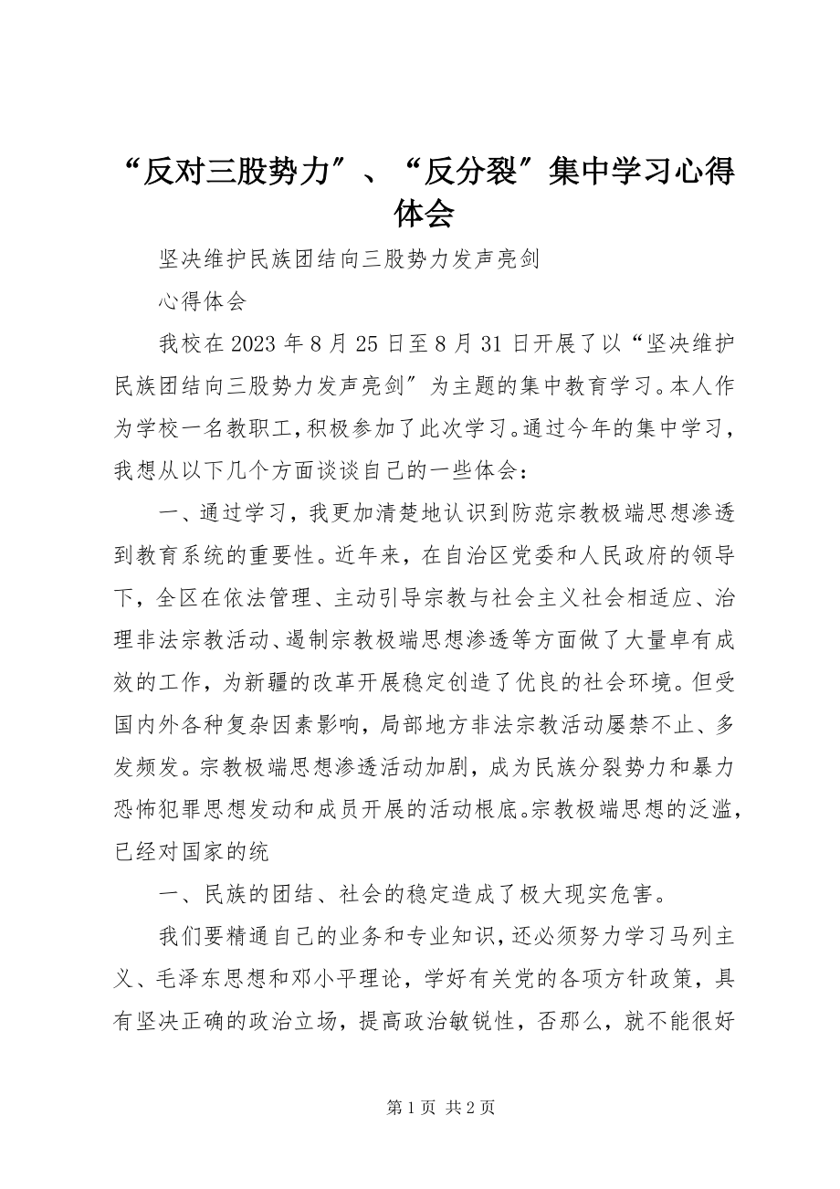 2023年反对三股势力反分裂集中学习心得体会.docx_第1页