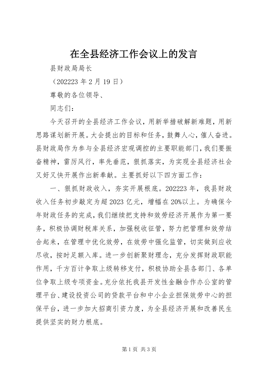 2023年在全县经济工作会议上的发言.docx_第1页