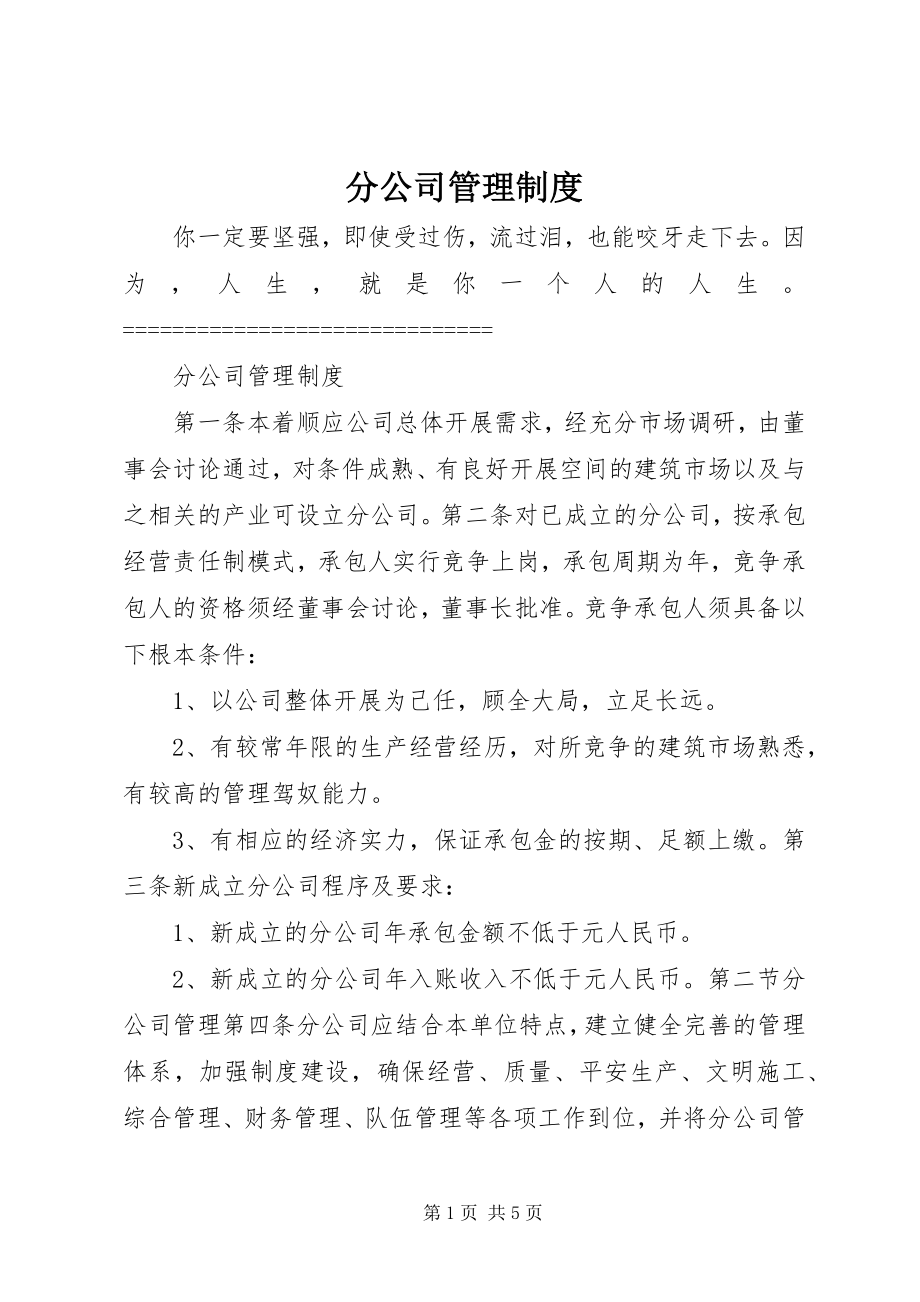 2023年分公司管理制度.docx_第1页