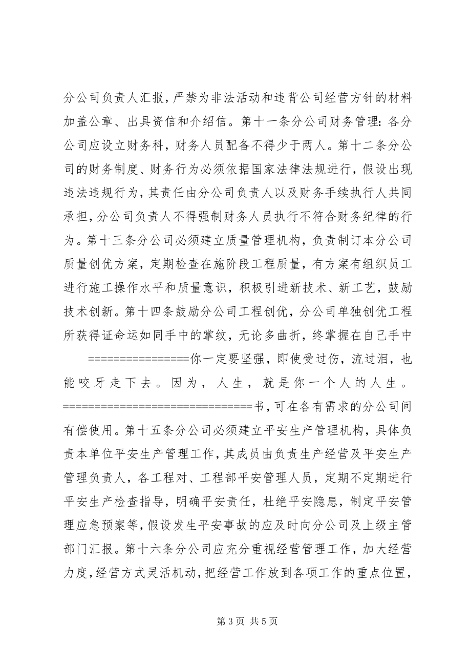 2023年分公司管理制度.docx_第3页