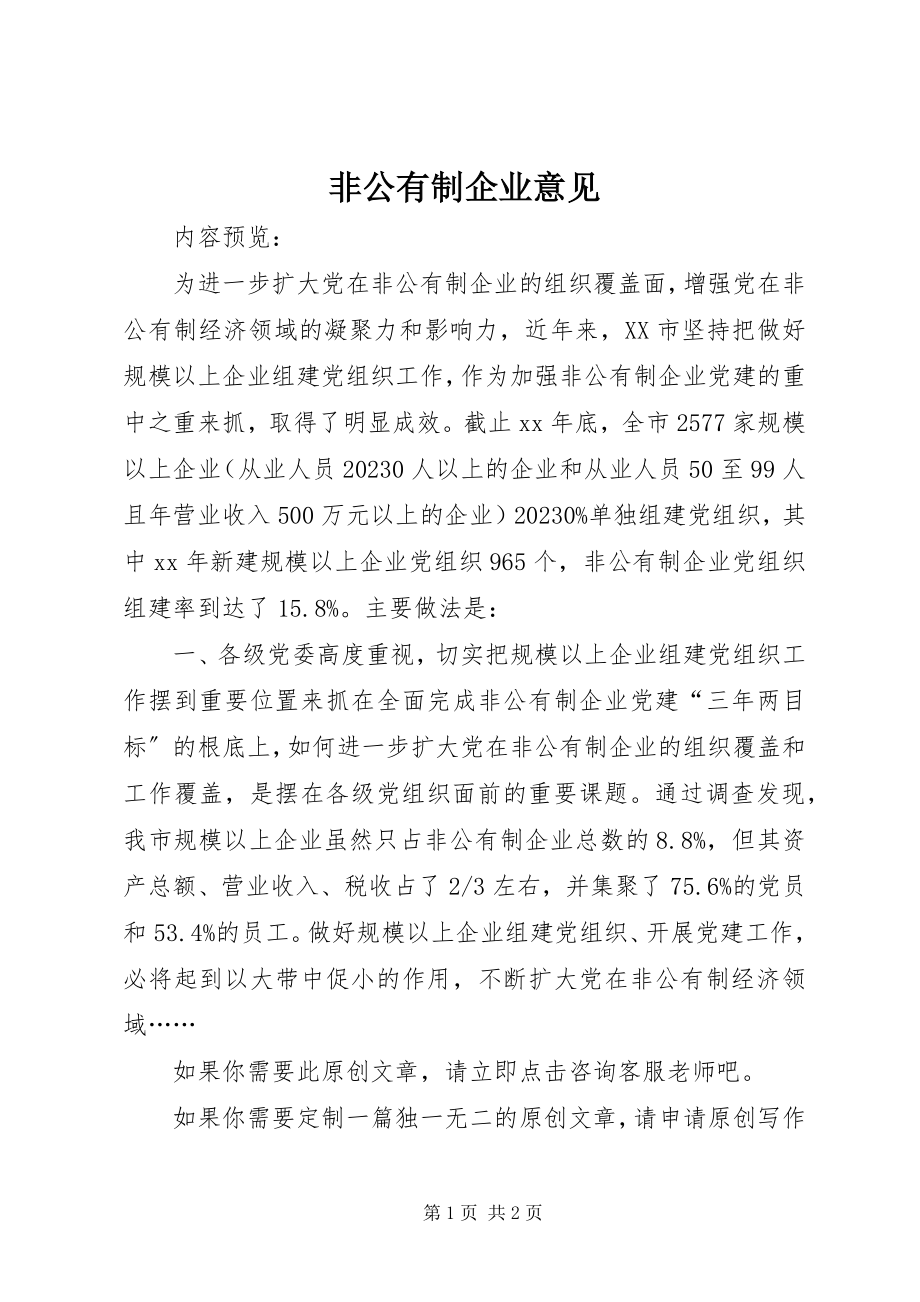 2023年非公有制企业意见.docx_第1页