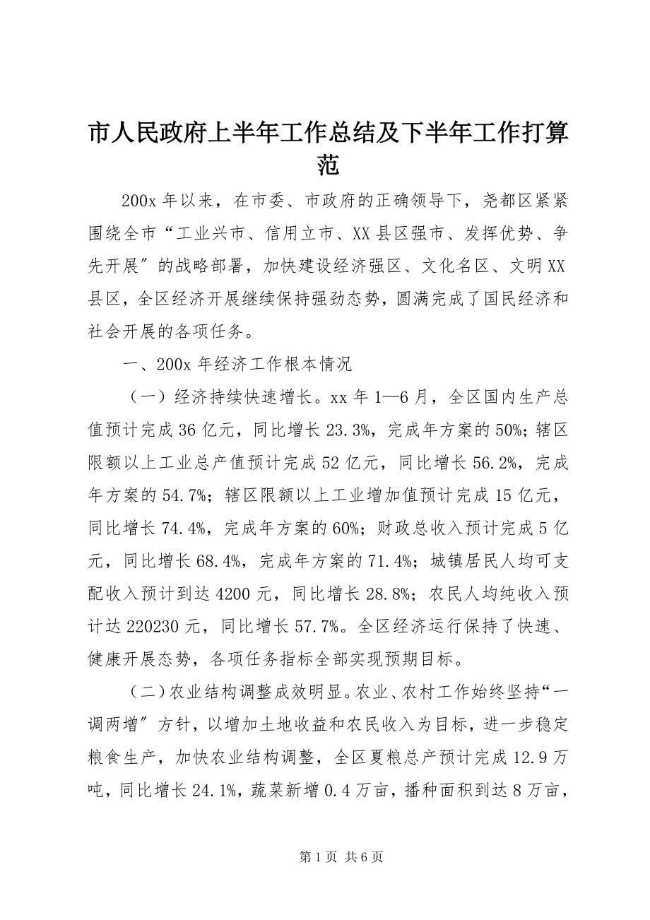 2023年市人民政府上半年工作总结及下半年工作打算范.docx_第1页