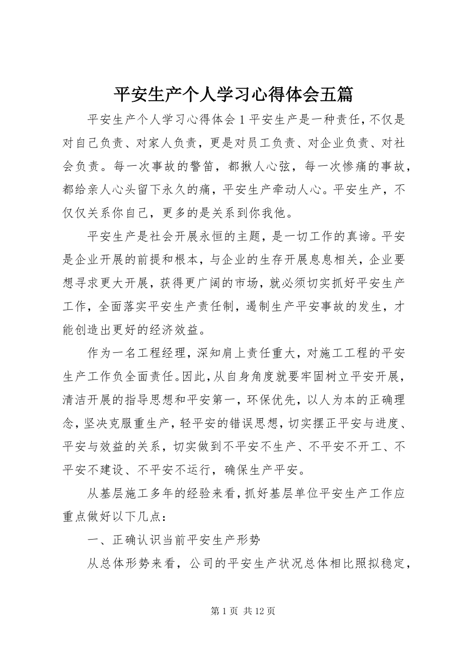 2023年安全生产个人学习心得体会五篇新编.docx_第1页