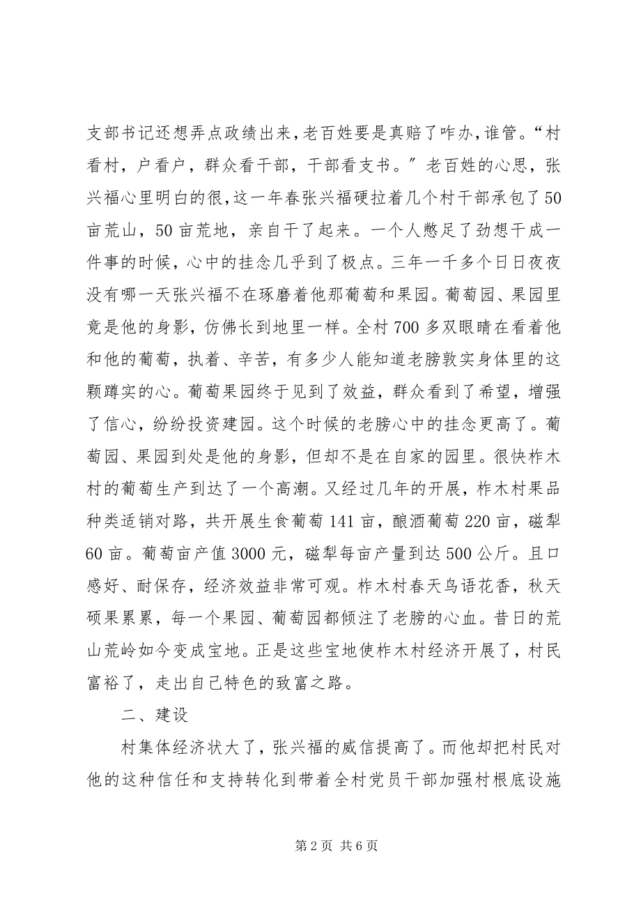 2023年农村先进党支部书记事迹材料.docx_第2页