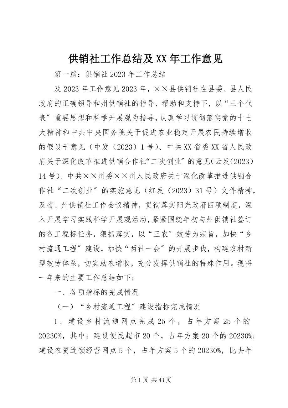 2023年供销社工作总结及某年工作意见.docx_第1页