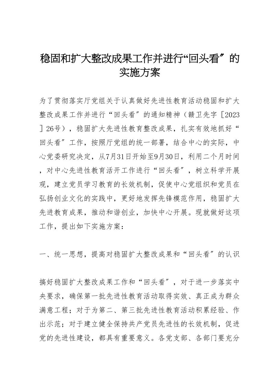 2023年巩固和扩大整改成果工作并进行回头看的实施方案.doc_第1页