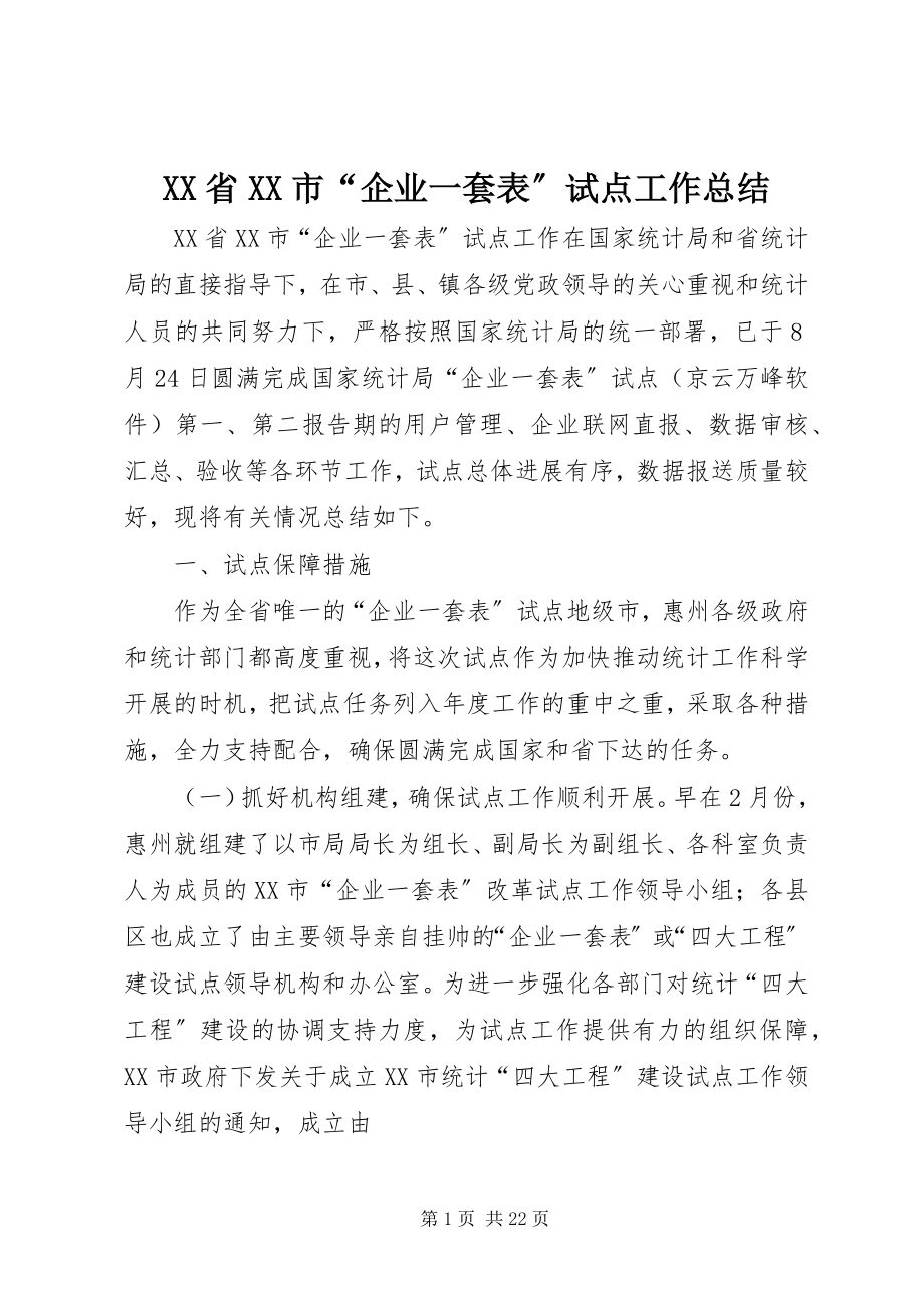 2023年XX省XX市“企业一套表”试点工作总结新编.docx_第1页