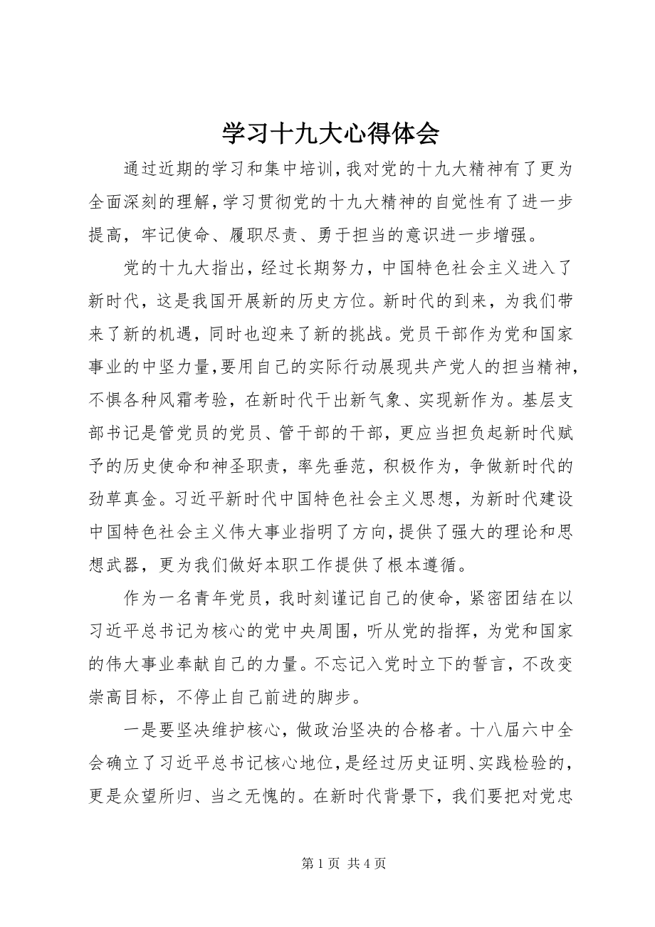 2023年学习十九大心得体会.docx_第1页