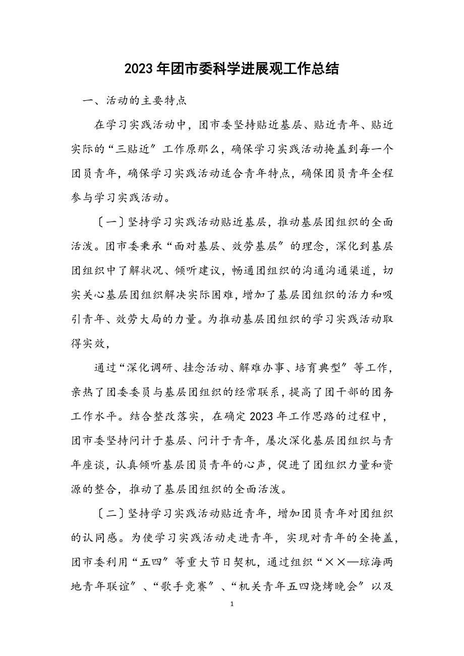 2023年团市委科学发展观工作总结.docx_第1页