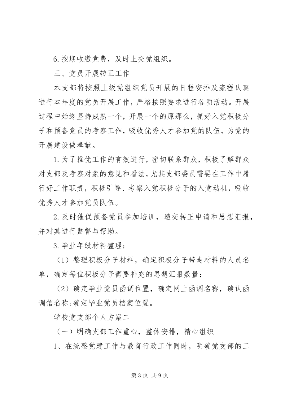 2023年学校党支部个人计划.docx_第3页