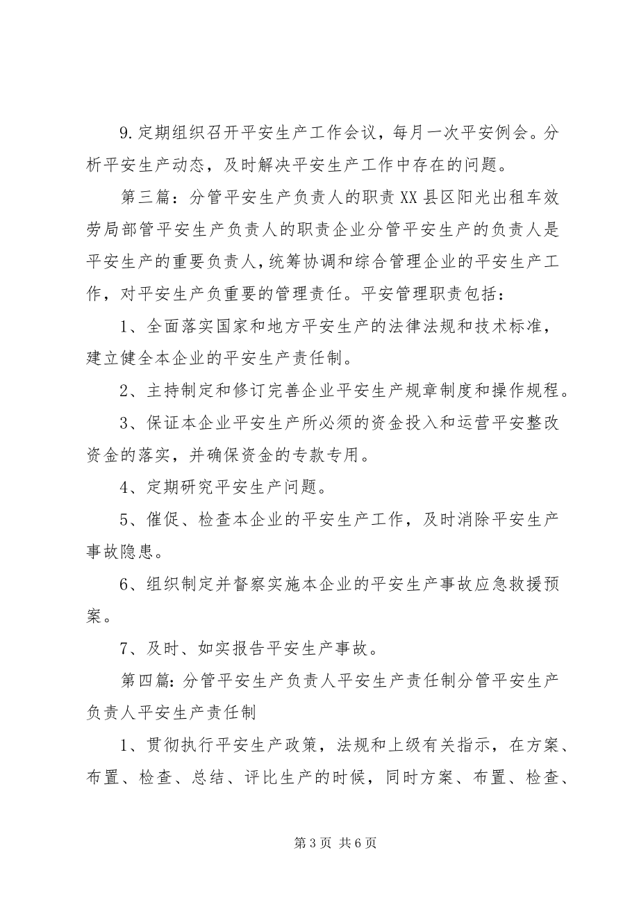 2023年企业分管安全工作负责人安全生产职责.docx_第3页