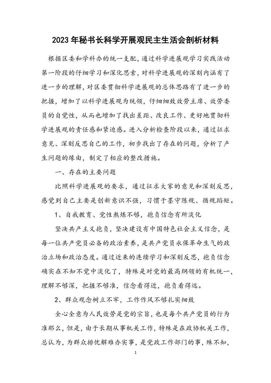 2023年秘书长科学发展观民主生活会剖析材料.docx_第1页