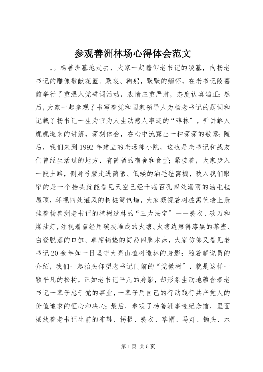 2023年参观善洲林场心得体会2新编.docx_第1页